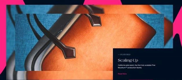 Pure Plain Wind Is Sought After? Enterprises That Use Mushrooms To Make Bags For Hermes Have Received Hundreds Of Millions Of Dollars in Financing.